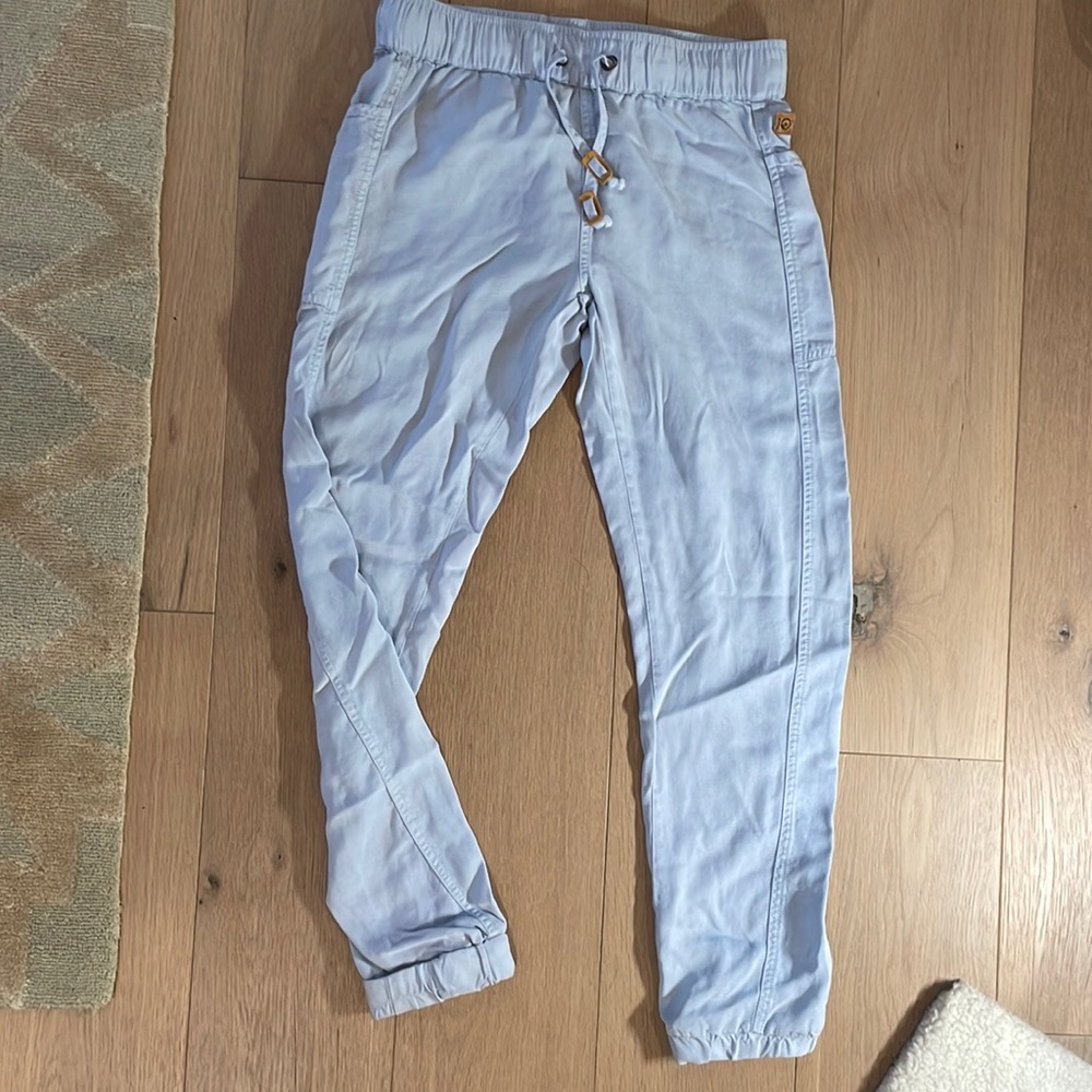 Tentree joggers